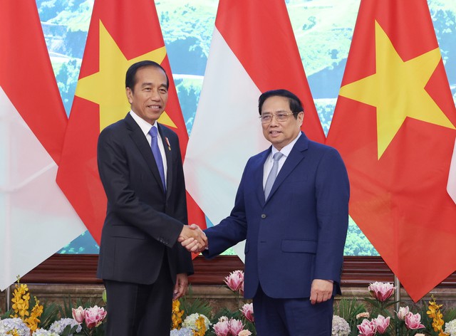Viet Nam, Indonesia consider to lift bilateral ties to new height - Ảnh 1.