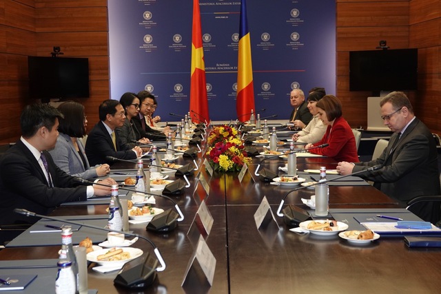 Foreign Minister holds talks with Romanian counterpart- Ảnh 1.