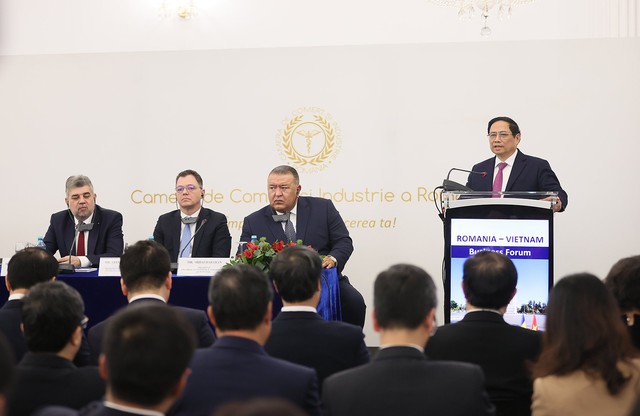 Vietnamese, Romanian PMs discuss trade potential with businesspeople- Ảnh 1.