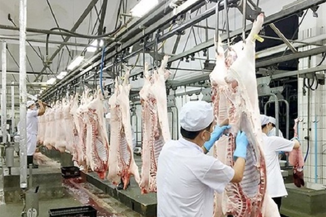 Viet Nam eyes US$1.5 billion in export turnover of livestock exports by 2025- Ảnh 1.