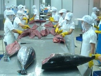 Middle East becomes fourth largest importer of Vietnamese tuna- Ảnh 1.