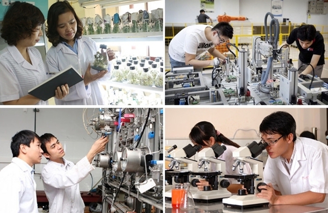 Gov’t establishes National Council for Science, Technology, Innovation  - Ảnh 1.