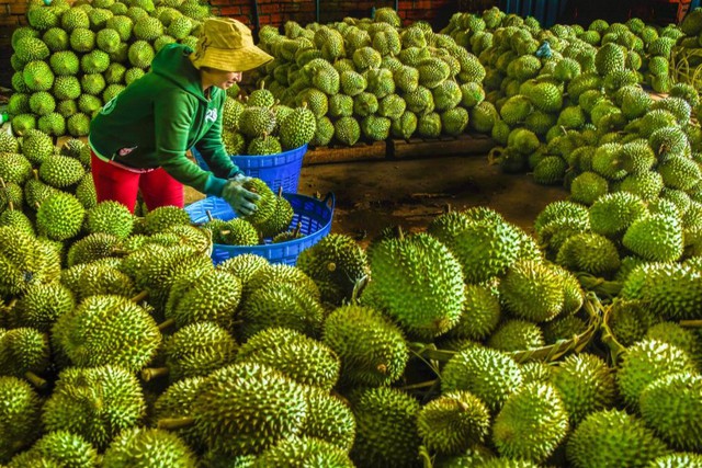 Fruit exports surge sharply - Ảnh 1.