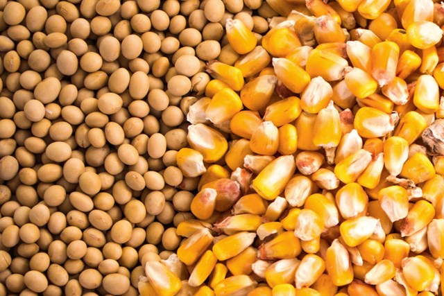 Viet Nam becomes biggest importer of Argentine farm produce- Ảnh 1.