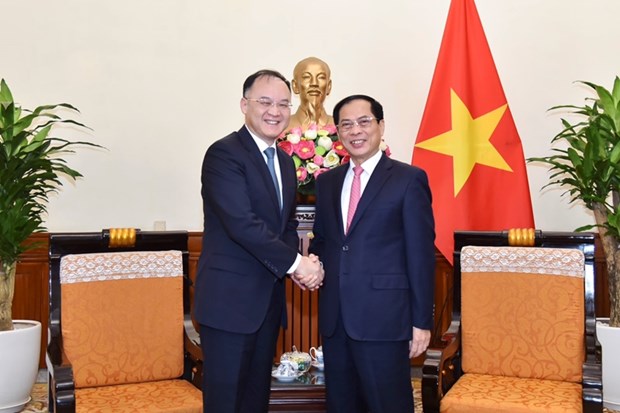 Foreign Minister hosts Chinese Assistant Foreign Minister- Ảnh 1.