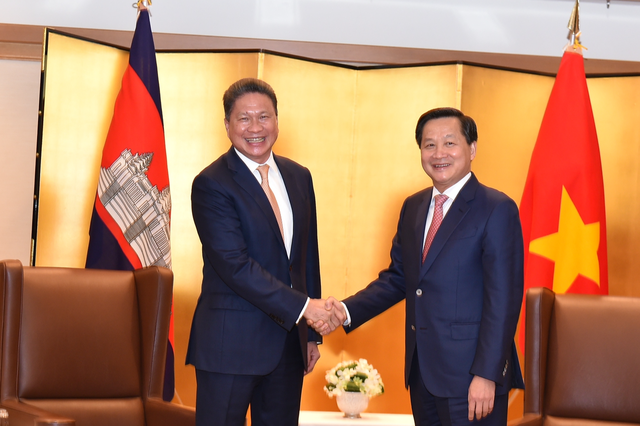 Deputy PM meets Cambodian, Singaporean counterparts in Tokyo- Ảnh 1.