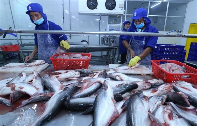 Tra fish export may hit US$1.8 billion in 2024- Ảnh 1.