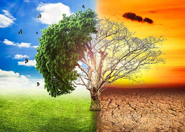 Viet Nam calls for strong cooperation to handle climate change impacts- Ảnh 1.