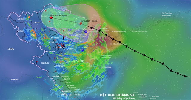 Three airports closed due to Typhoon Matmo- Ảnh 1.
