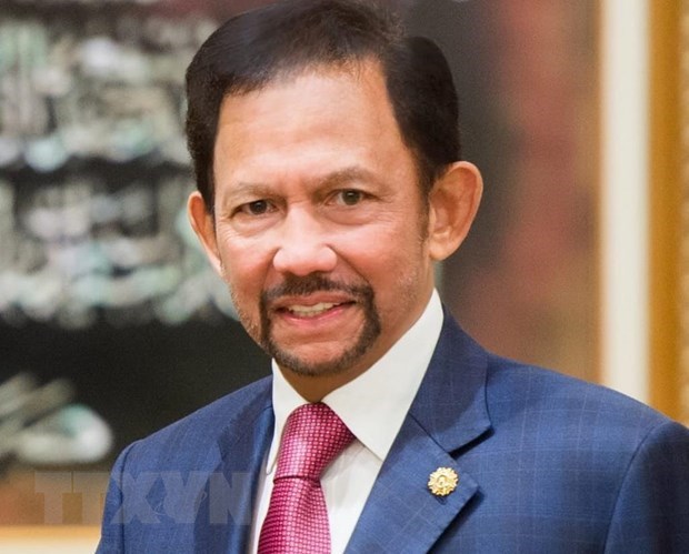 Sultan of Brunei to pay State visit to Viet Nam next week - Ảnh 1.