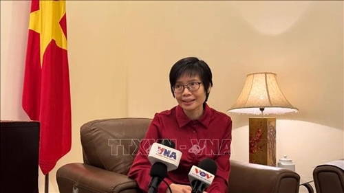 Viet Nam’s 30-year journey in ASEAN highlighted - Ảnh 1. Viet Nam’s 30-year journey in ASEAN highlighted - Ảnh 1.