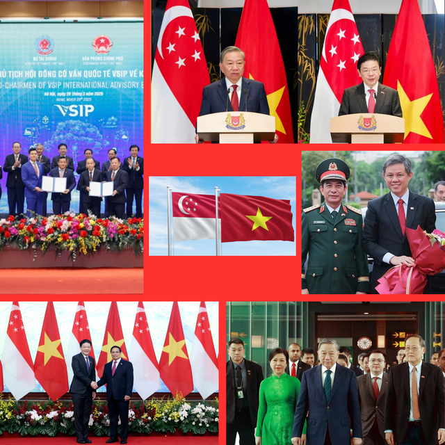 Viet Nam, Singapore share bright future- Ảnh 2. Viet Nam, Singapore share bright future- Ảnh 2.