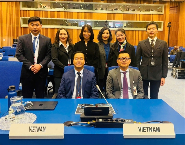 Viet Nam calls for early ratification of Ha Noi Convention- Ảnh 1.