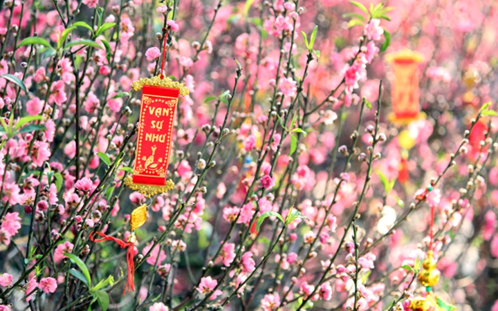 State President Luong Cuong extends 2026 Lunar New Year greetings