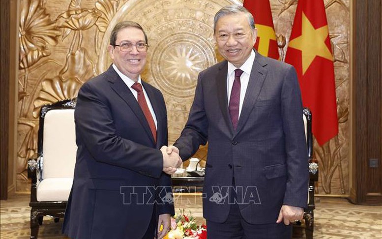 Party chief hosts Cuban special envoy, foreign minister