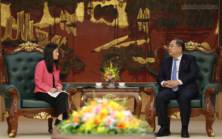 Standing Deputy PM hosts U.S. Ambassador