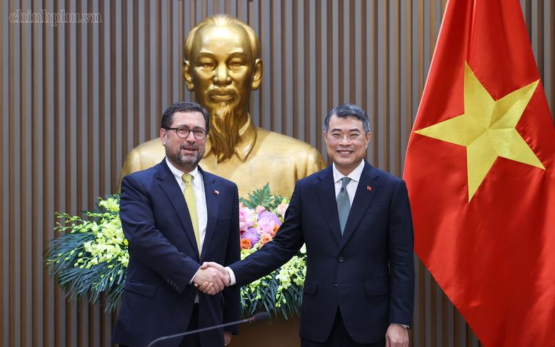 Viet Nam treasures Comprehensive Partnership with Chile: Prime Minister