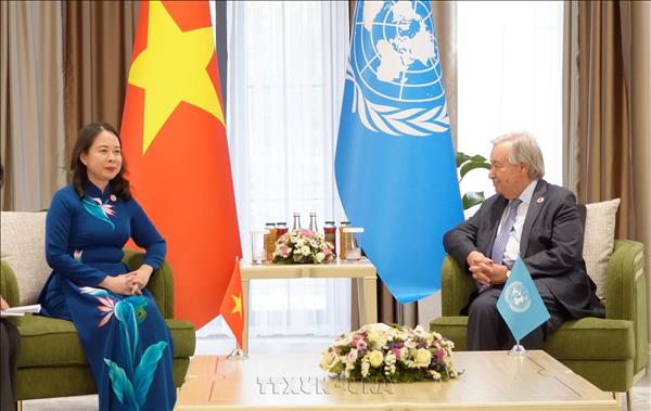 Vice State President meets with UN chief, CICA Secretary General, Togo leader- Ảnh 1.