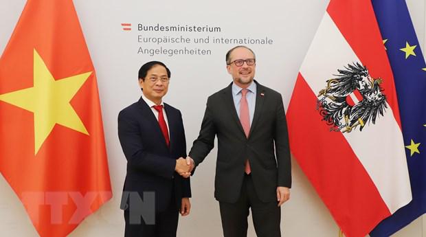 越南外交部部长裴青山对奥地利进行正式访问 - Ảnh 1.