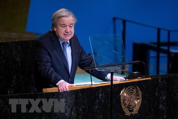 photo-1670642517099 photo-1670642517099