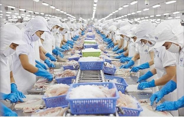 160家越南企业获准向中国出口芒鱼 - Ảnh 1.