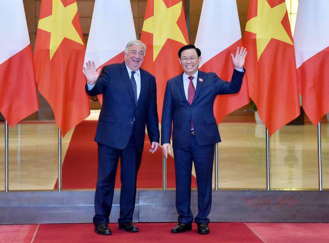 越南国会主席王廷惠同法国参议院议长举行会谈 - Ảnh 1.