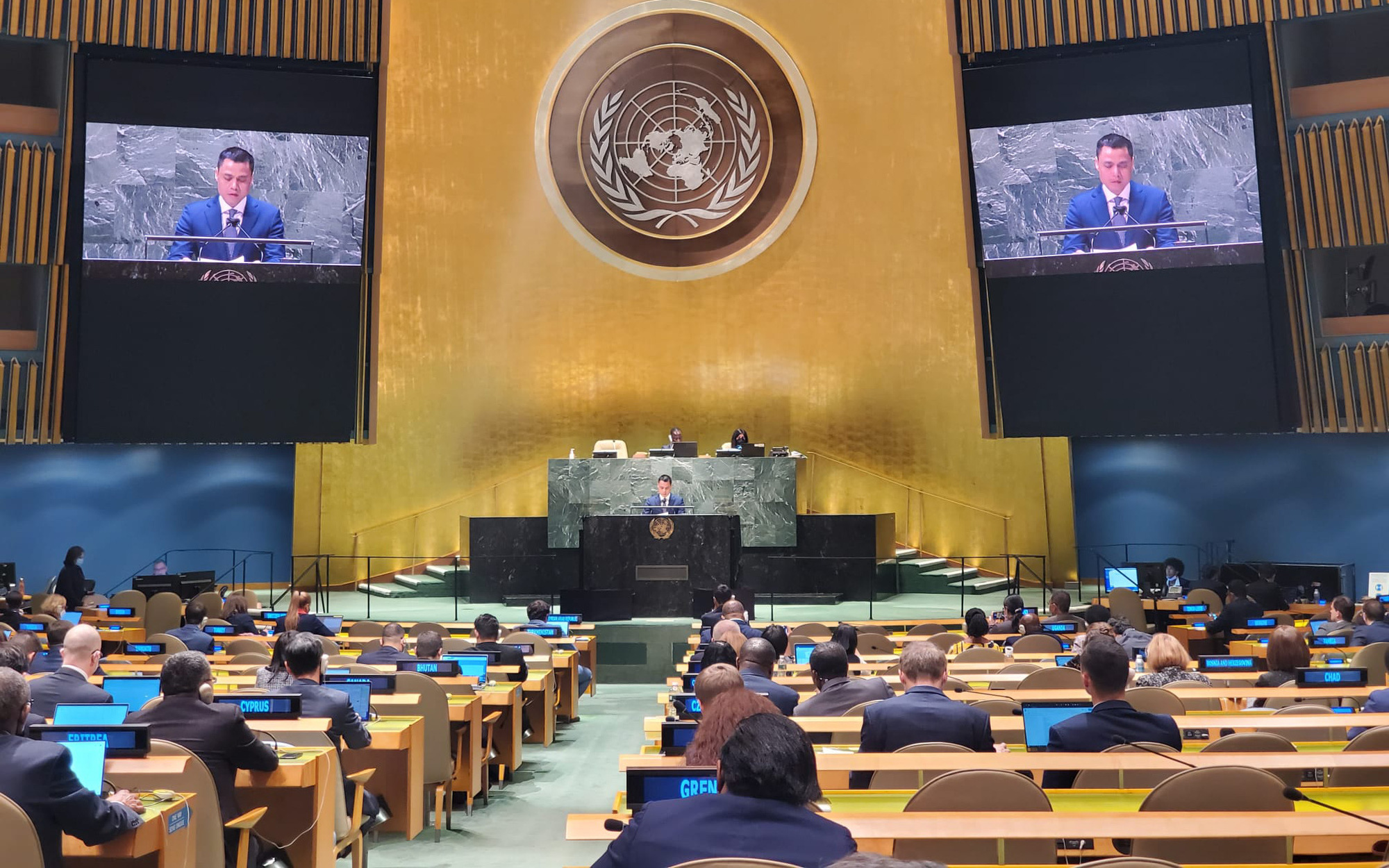 越南愿同联合国携手向乌克兰提供人道主义援助