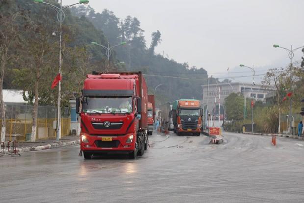 越南谅山省友谊口岸货物进出口和人员出入境活动全面恢复 - Ảnh 1.