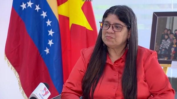 委内瑞拉驻越大使：越南经济快速复苏展现社会主义定向市场经济的优势 - Ảnh 1.