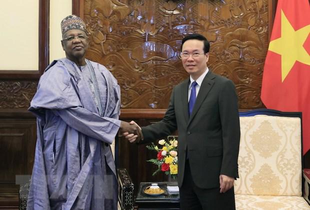 越南国家主席武文赏会见尼日利亚驻越大使 - Ảnh 1.