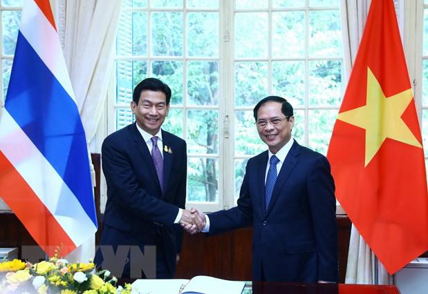 越南外交部长裴青山同泰国副总理兼外交部长帕恩普里·巴希达·努卡拉举行会谈 - Ảnh 1.