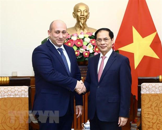 越南希望发展与格鲁吉亚的关系- Ảnh 1.