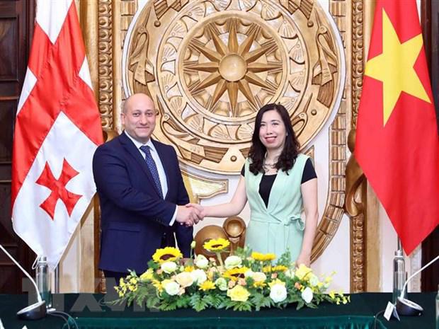 越南希望发展与格鲁吉亚的关系- Ảnh 2.