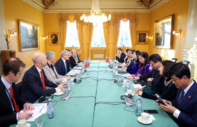 越南国家副主席武氏映春同挪威首相约纳斯·加尔·斯特勒举行会谈- Ảnh 2.