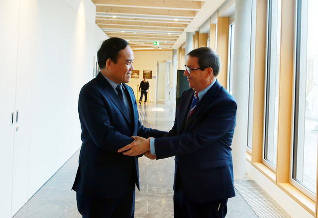 越南政府副总理陈流光会见各国外长 - Ảnh 1.