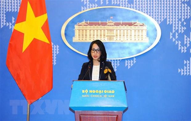 越南外交部发言人：和平、稳定、合作与发展是各国的共同目标 - Ảnh 1.
