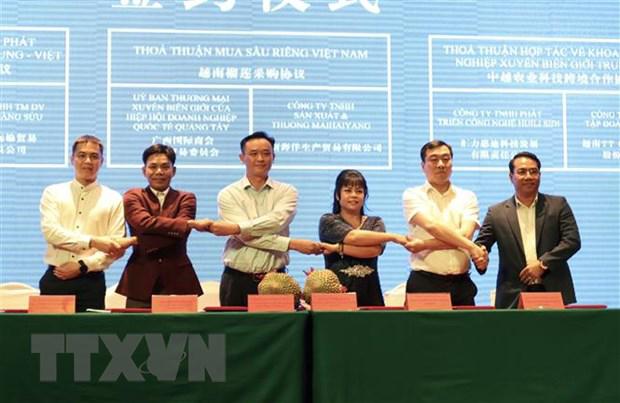 越南与中国广西壮族自治区合作前景广阔 - Ảnh 1.