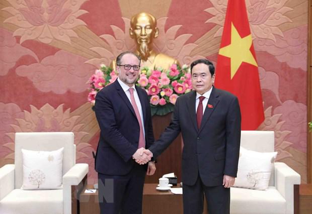 推动越南奥地利各领域合作发展 - Ảnh 1.