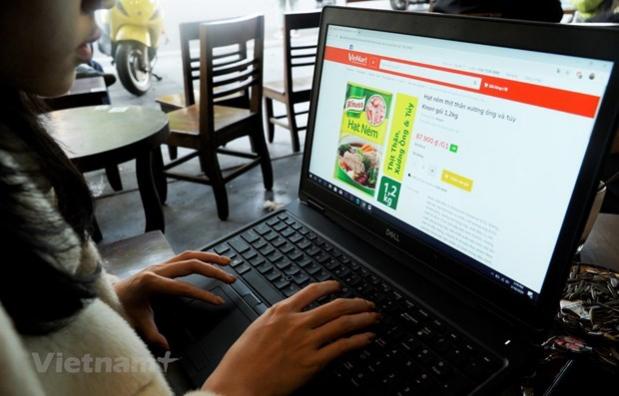 2025年越南互联网经济规模或达490亿美元 - Ảnh 1.