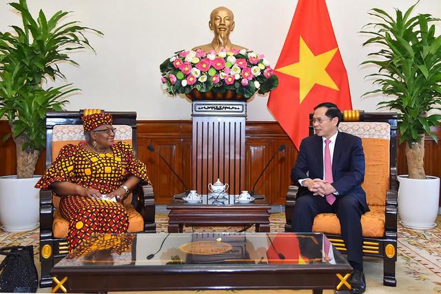 越南积极参与世界贸易组织倡导的合作机制 - Ảnh 1.