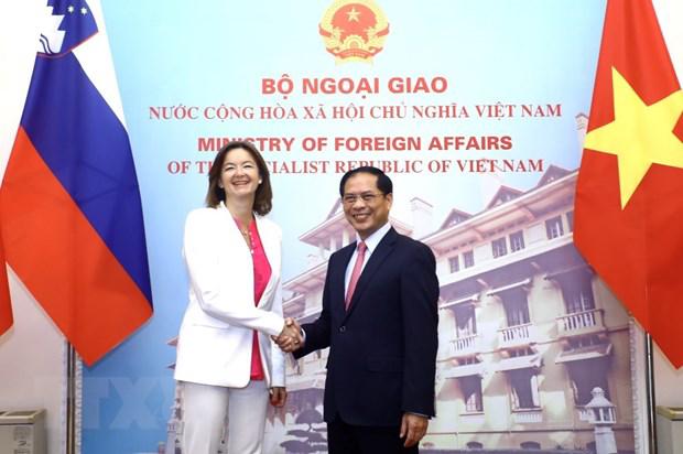 越南愿加强与斯洛文尼亚在各领域的合作 - Ảnh 1.