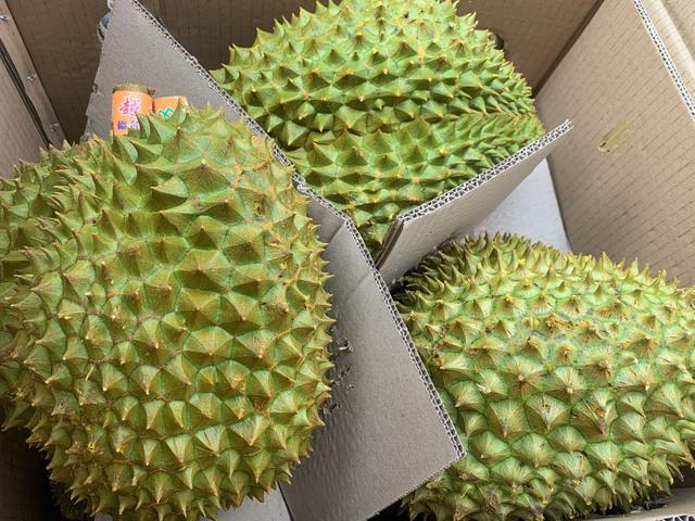 photo-1685525490705 photo-1685525490705