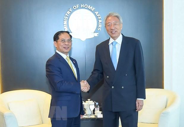 越南外交部长裴青山对新加坡进行正式访问 - Ảnh 2.
