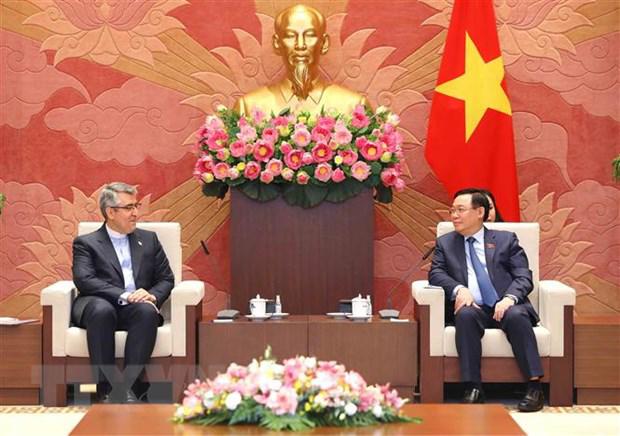 越南国会主席王廷惠会见印度尼西亚和伊朗大使 - Ảnh 2.