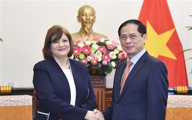 越南与埃及力争实现双边贸易额达到10亿美元的目标