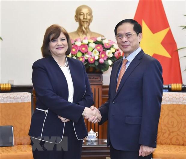 越南与埃及力争实现双边贸易额达到10亿美元的目标 - Ảnh 1.