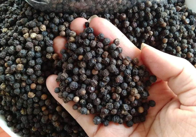 2023上半年中国是越南第一大胡椒出口目的地 - Ảnh 1.