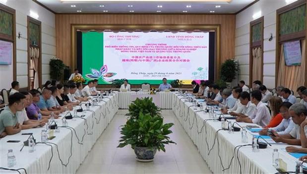 越南同塔省与中国广西两地企业加强贸易合作 - Ảnh 1.