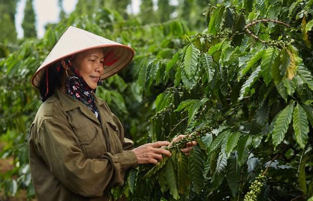 2023年前9个月越南农林水产品出口金额385亿美元 - Ảnh 1.