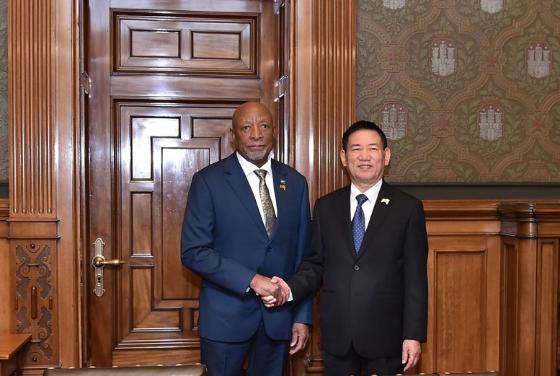 越南政府副总理胡德福会见纳米比亚总统，沙特阿拉伯经济和规划大臣- Ảnh 1.